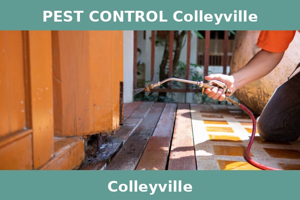 PEST CONTROL Colleyville